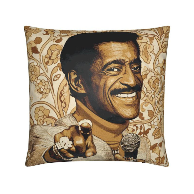 Icon Series, "Davis" Velvet Throw Pillow